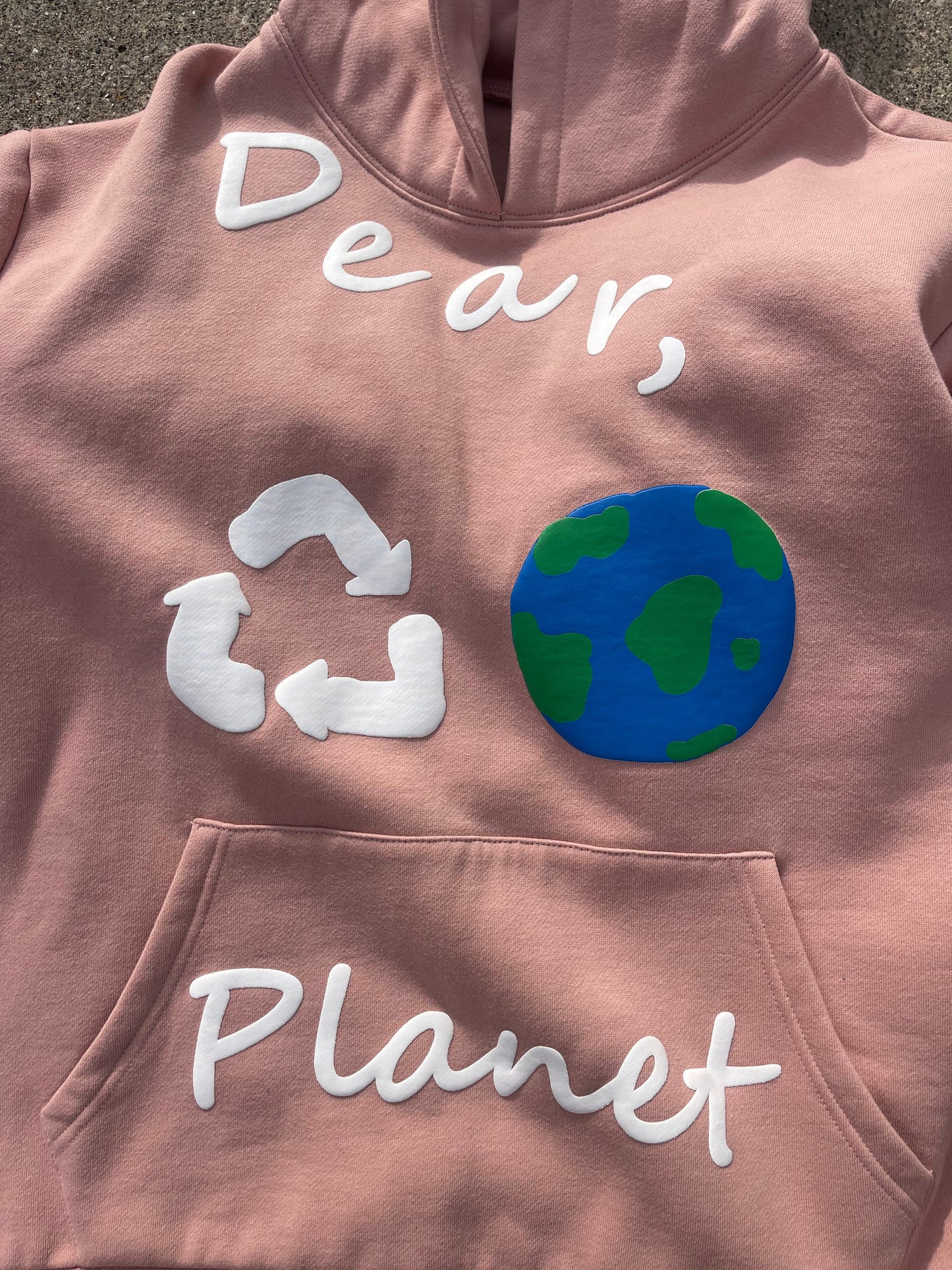 Sample Salmon Dear Planet Hoodie